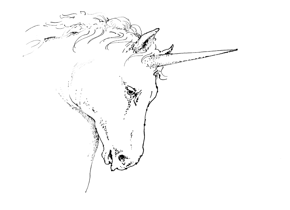 A pen and ink drawing of the head of a unicorn.
