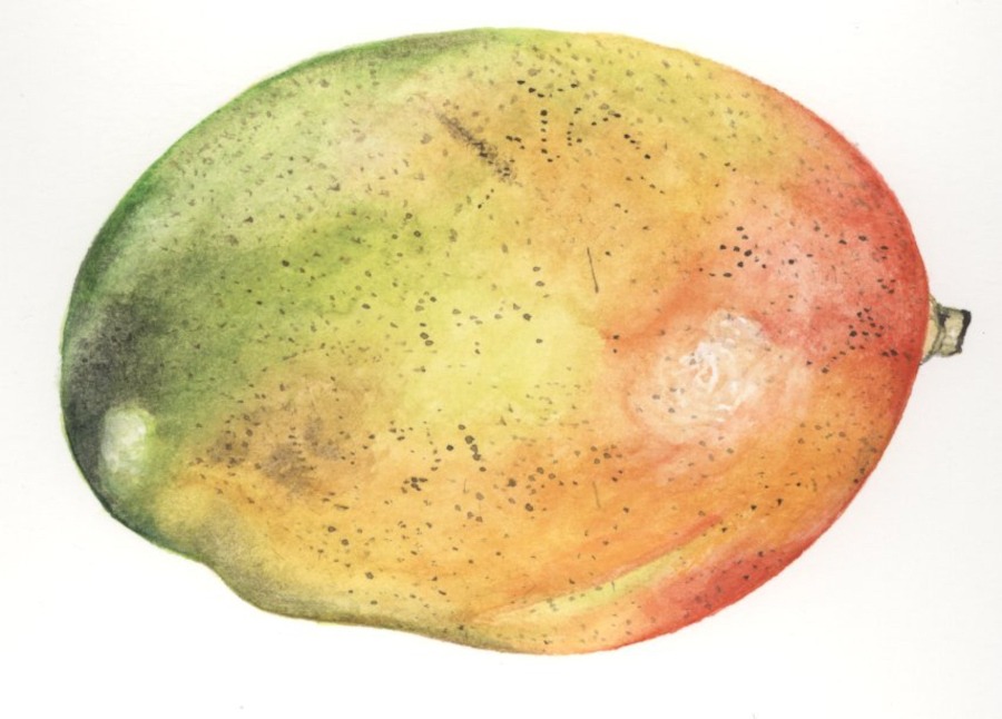 A mango.